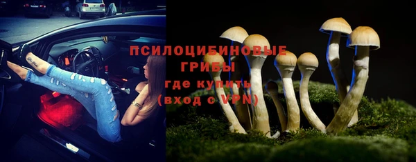 ALPHA PVP Алексин