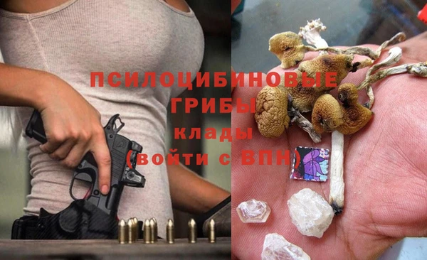 сатива Алексеевка