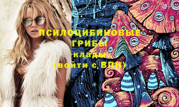 сатива Алексеевка