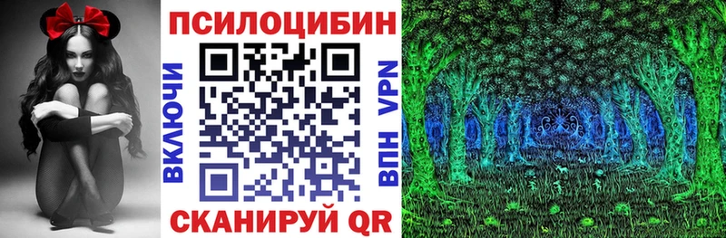 купить наркотики сайты Уварово Псилоцибиновые грибы Cubensis
